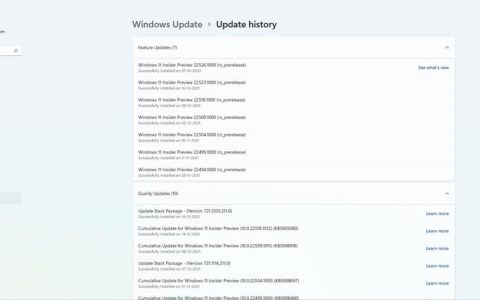 windows 11 build 22526 发布到 insider preview dev channel