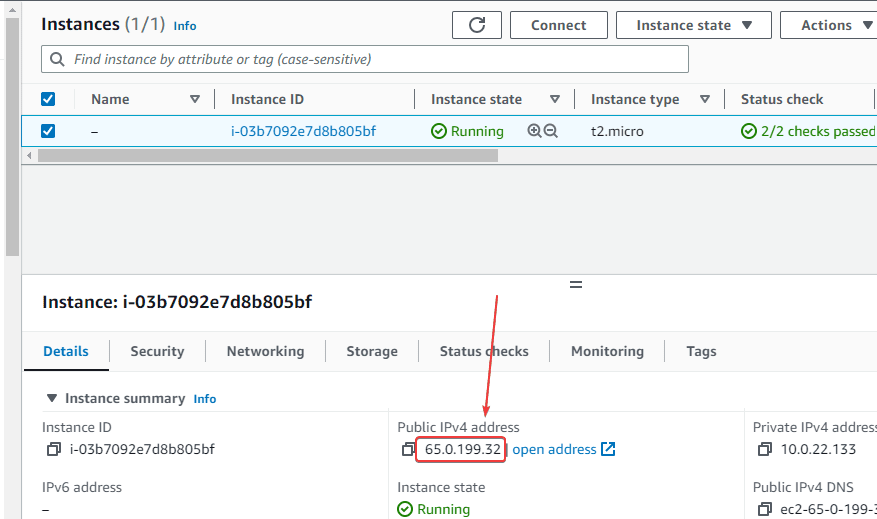 copy-the-ubuntu-ec2-instance-ip-address