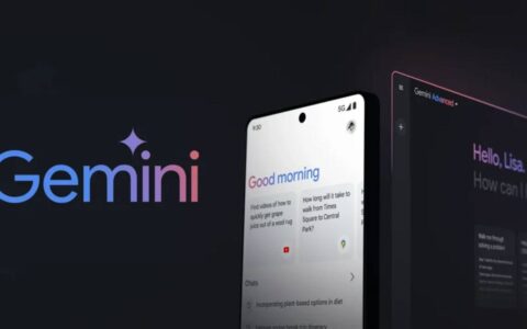 如何删除您的 google gemini 历史记录