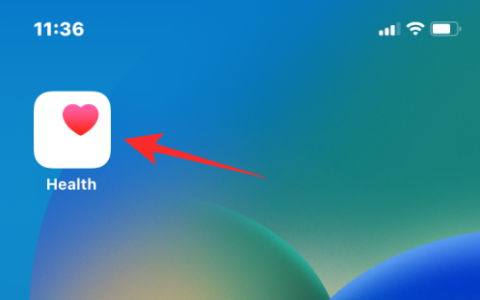 如何在 ios 16 上将药物添加到健康应用程序