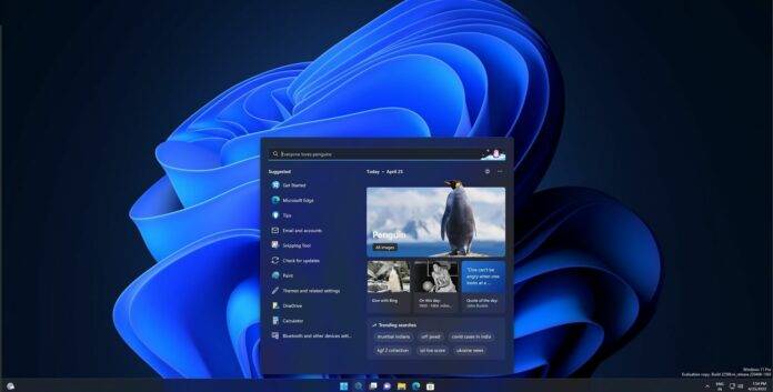 windows-11-new-search-696x353-2