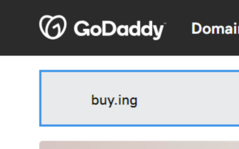 获得 .ing 域名需要多少费用？ps：这是damag.ing你的钱包